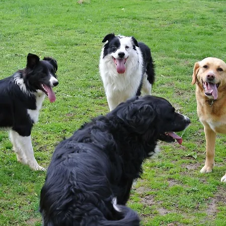 La Penardiere Saint-Étienne-de-Tulmont
