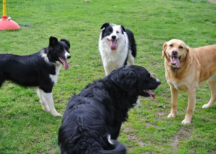 La Penardiere Saint-Étienne-de-Tulmont